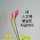 서울언주초등학교 이미지