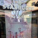 P-237 | 스타벅스md 체리블라썸 텀블러 머그컵 가방 실물 후기 가격 구매꿀팁