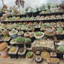 장금농장 이미지