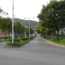 플래트 Daum카페