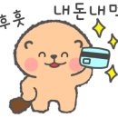 족슐랭가이드