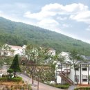 바다와소나무 펜션 이미지