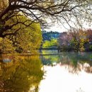 행복 빛으로부터 이미지