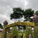 2024년 유성 국화축제 버스킹 | [대전 유성구] 2024년 유성국화축제 주차정보 10월 국내여행지