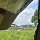 장성공영주차장 | [장성 가볼만한 곳]아들둘 체력빼기좋은 장성 황미르랜드 나들이 후기