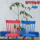 방자스테이 이미지