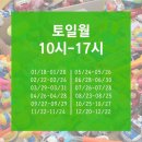 일산 사단법인트루 플라스틱 장난감 최저가 판매 및 기부(25년도 일정)