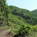 경기도산 연천 성산(520m)