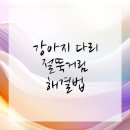 플러스동물메디컬센터 | 영등포구동물병원 강아지 다리 절뚝거림 대처법!
