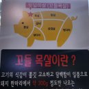 엄지1번지 네이버블로그