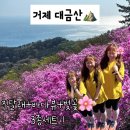 대금산진달래길(등산) | 거제 대금산 바다뷰와 함께하는 진달래군락지 봄산행