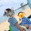 동해메밀촌 이미지