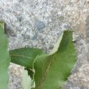사삼유통