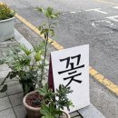 라벤더블룸 | [화정동꽃집] 어반블룸에서 만난 감성 가득한 꽃다발 후기