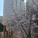 곰돌이어린이공원 이미지