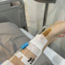 난 이제 쓸개가 없어.. 광주 담대한 외과 담낭절제술 후기