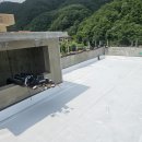 5T