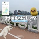 주식회사 아이에너지 | [오늘러닝] 천안 성성호수공원 퇴근 후 러닝(3.8km) 새로 바뀐 러닝 코스 후기!(+귀여운 개냥이의 응원?)