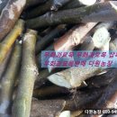 후인농장 이미지