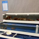 수청횟집 | 회가 필요할 땐 어디로? 인생회로,,, 당진 수청동 맛집 &lt;인생회로횟집&gt; 내돈내산 후기