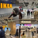 비스트로피자부산기장점 | 기장 이케아 영업시간 주차 애견동반 푸드코트 식당 메뉴