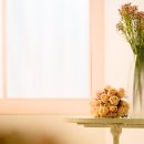 자연다움 이미지