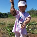 학 농장 이미지