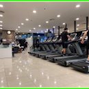 쏘마휘트니스 이미지