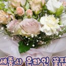 케이플로라 이미지