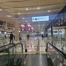 인피치 | 피치항공 후기 김포공항 오사카