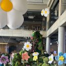 스테이 장호 이미지