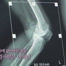 닥터바른