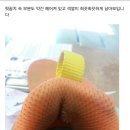 프로스펙스구미