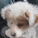 칠곡면사무소 이미지