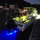 스타마린 이미지