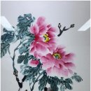 고신