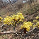 스테이서곡 이미지