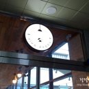 비바도기 이미지