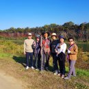 금굴농장 이미지