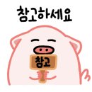 심봉사도로케진주혁신