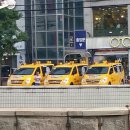 마린크루 이미지