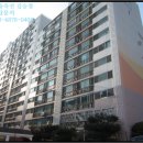 포항시북구59 네이버블로그