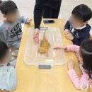 내리초등학교 이미지