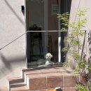 덕성세탁소 이미지