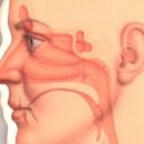 숨한의원 이미지