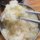 이리복집 | 오산밥집 - 삼호복집 : 참복탕으로 몸보신