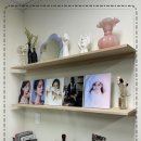 스튜디오전성기
