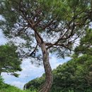 노송농원 이미지