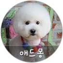 애드몽 - 화성시 병점노을4로 19 | 애드몽