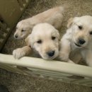 두아름농장 이미지